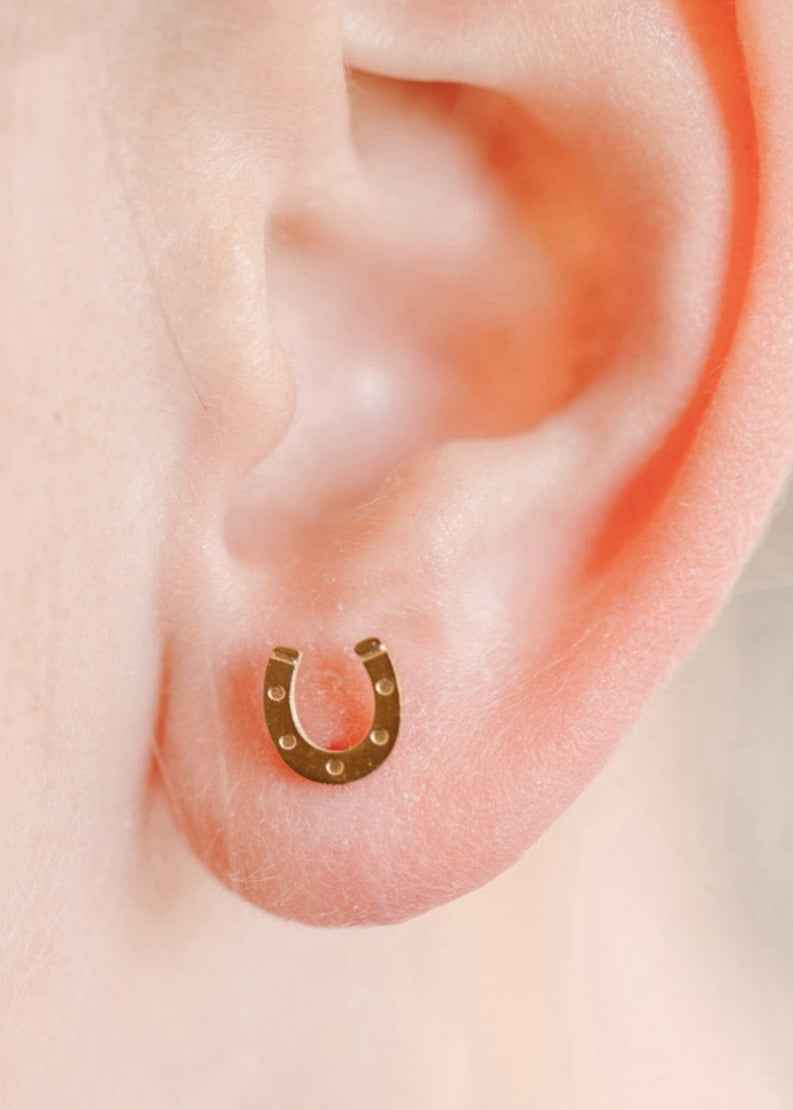 Lucky You Horseshoe