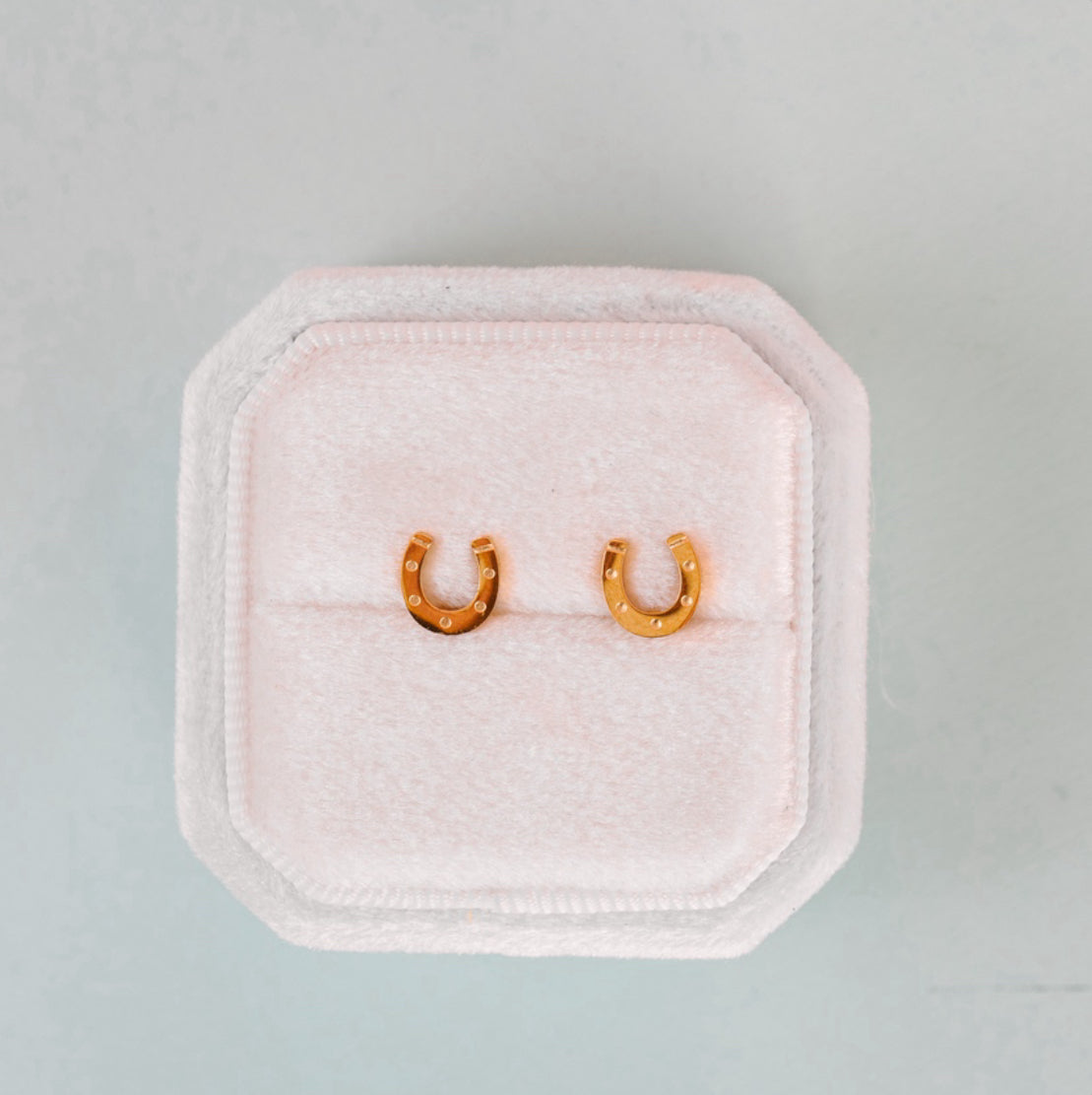 Lucky You Horseshoe