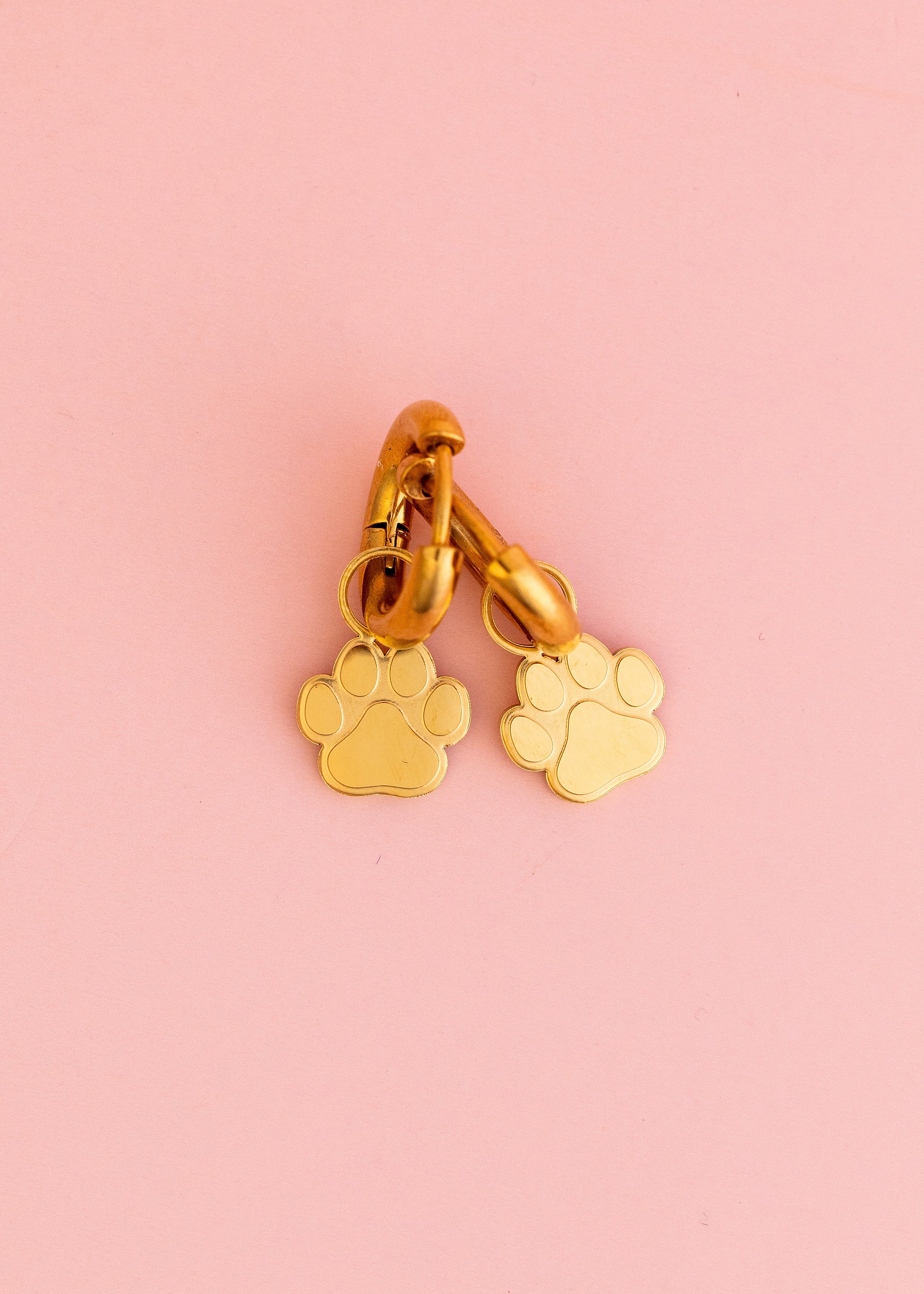 Paw Print Charms