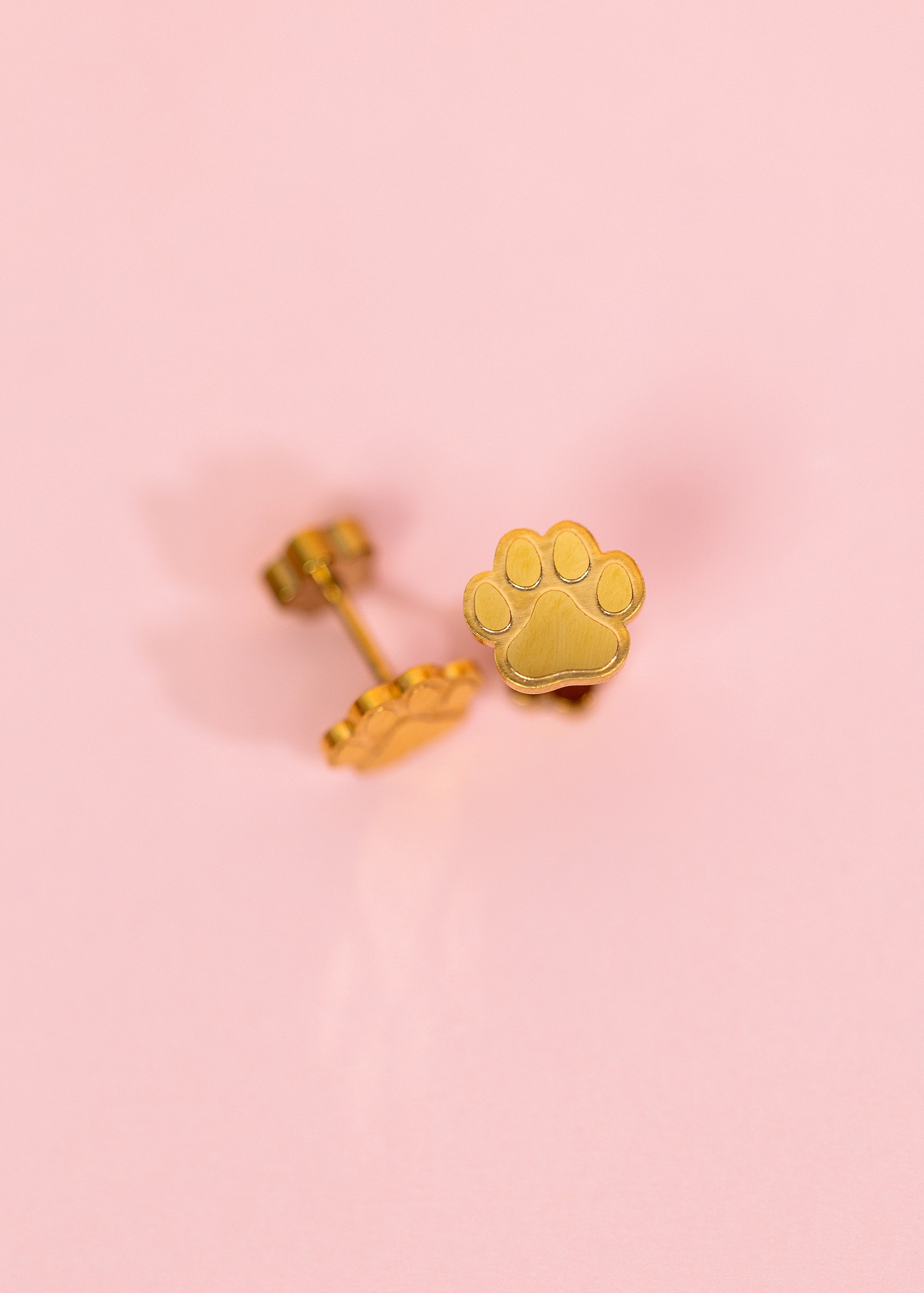 Paw Print