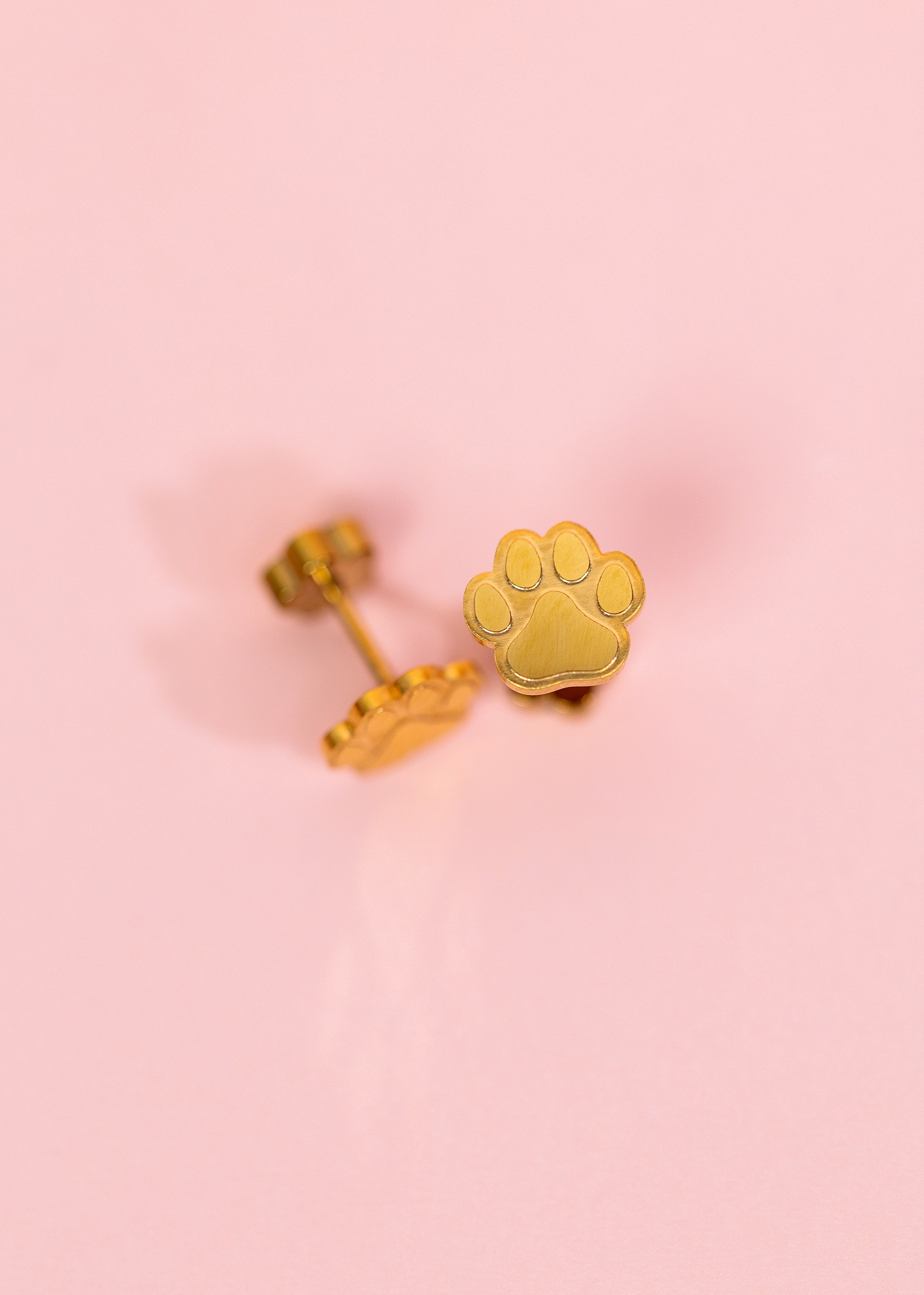 Paw Print