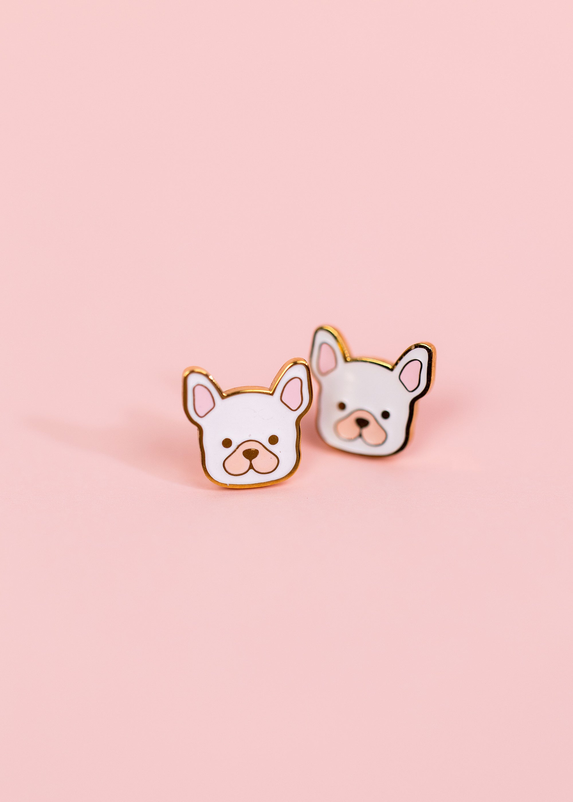 White Dog