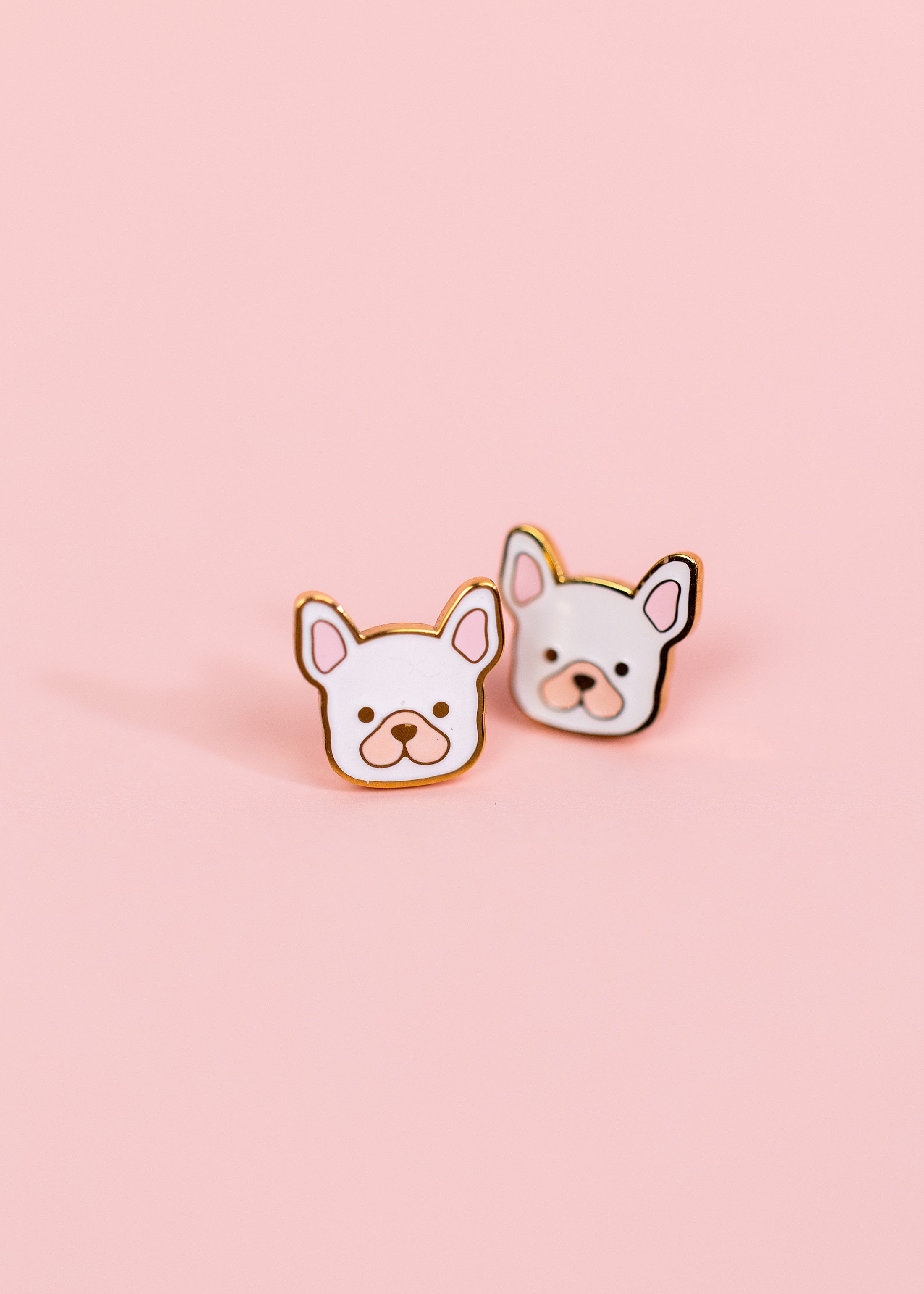 White Dog