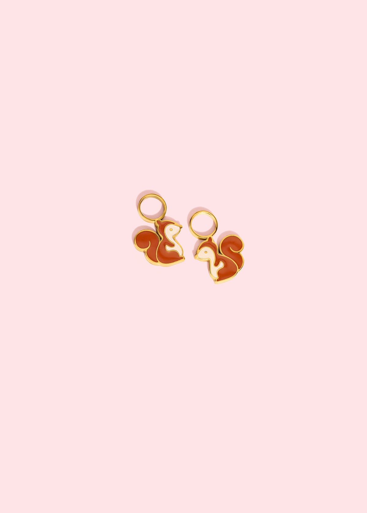 Squirrel Charm