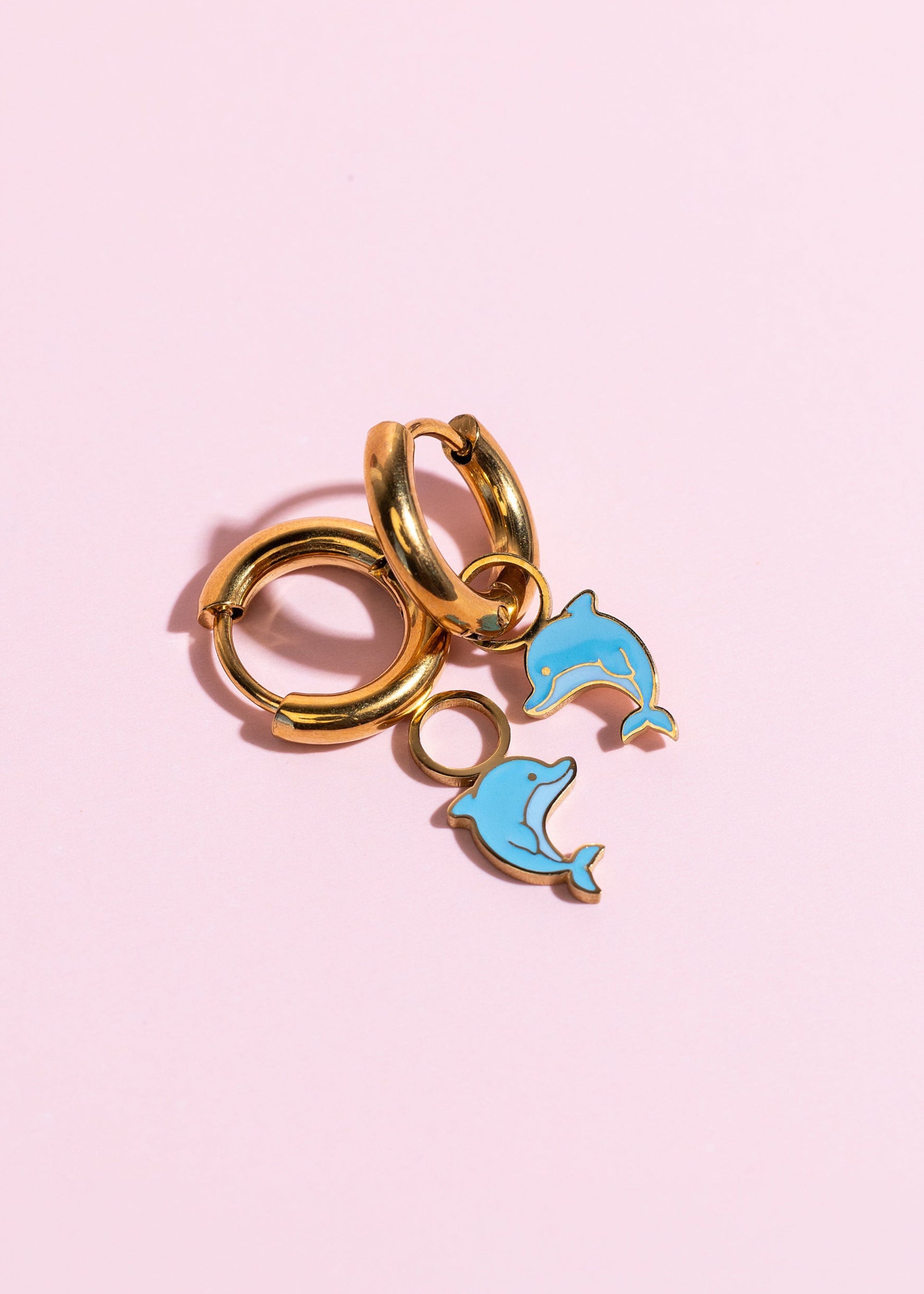 Dolphin Charm
