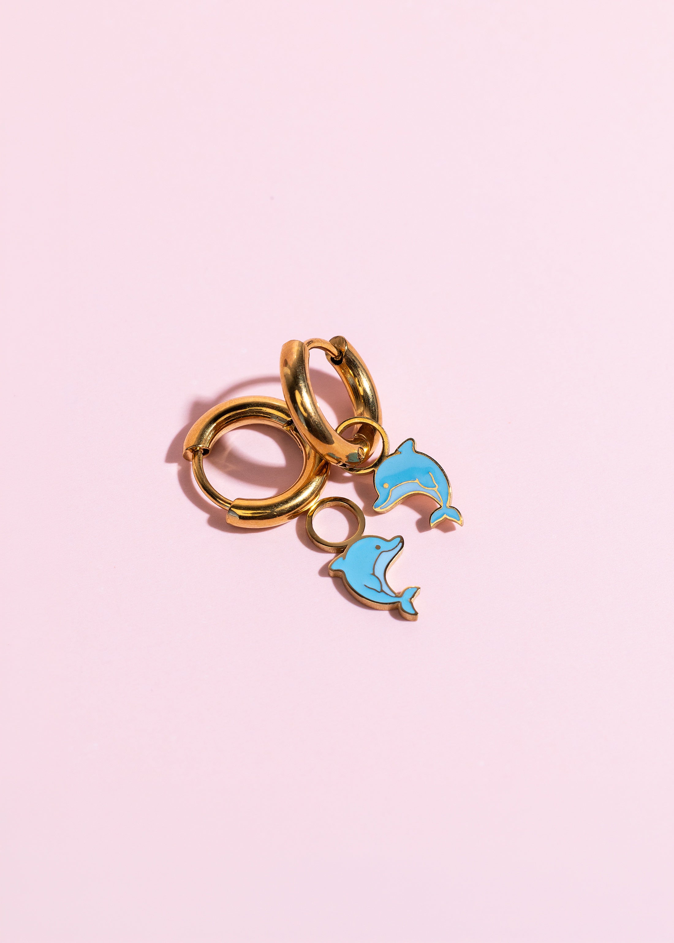Dolphin Charm