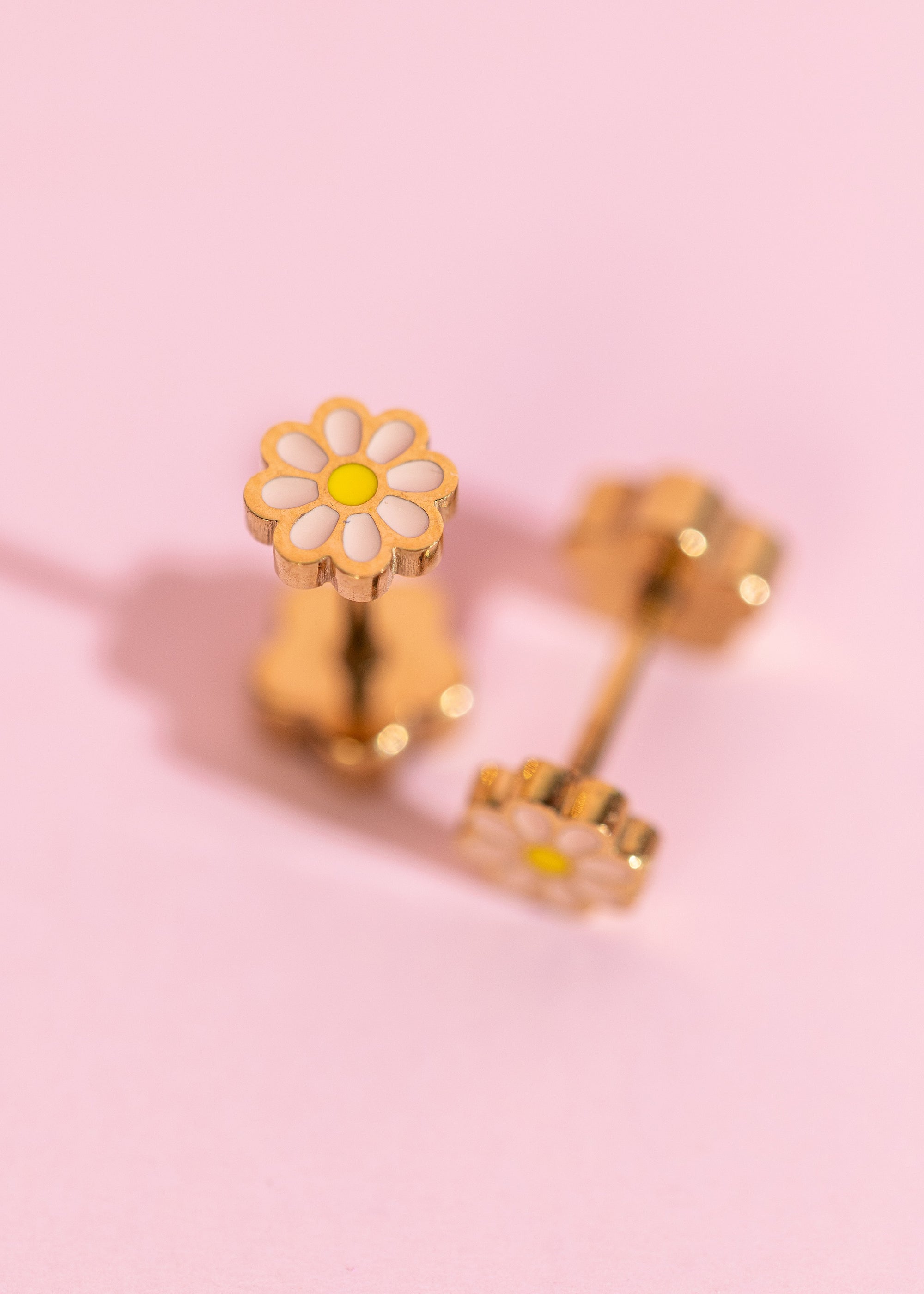 Tiny Peach Daisy