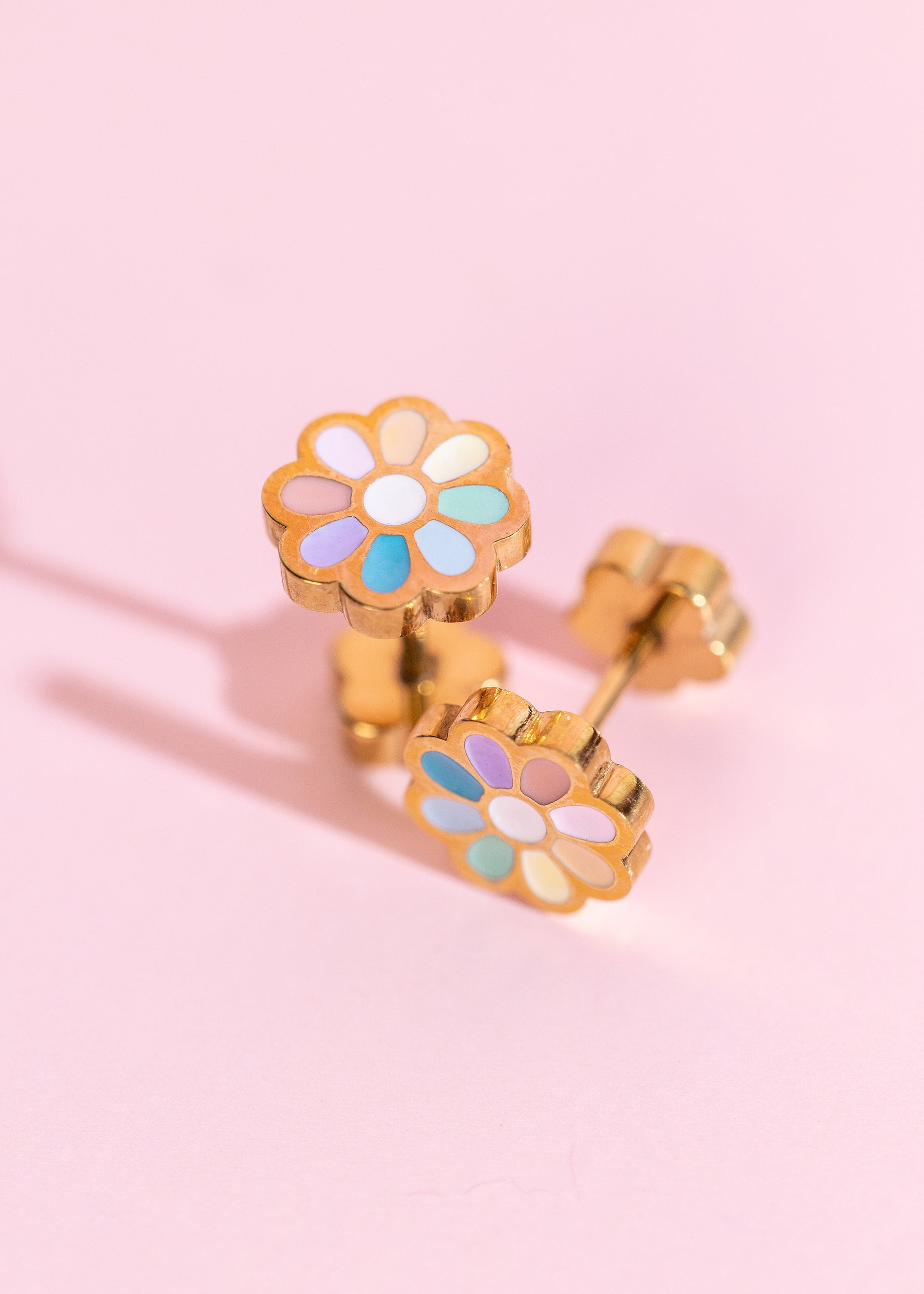 Rainbow Daisy
